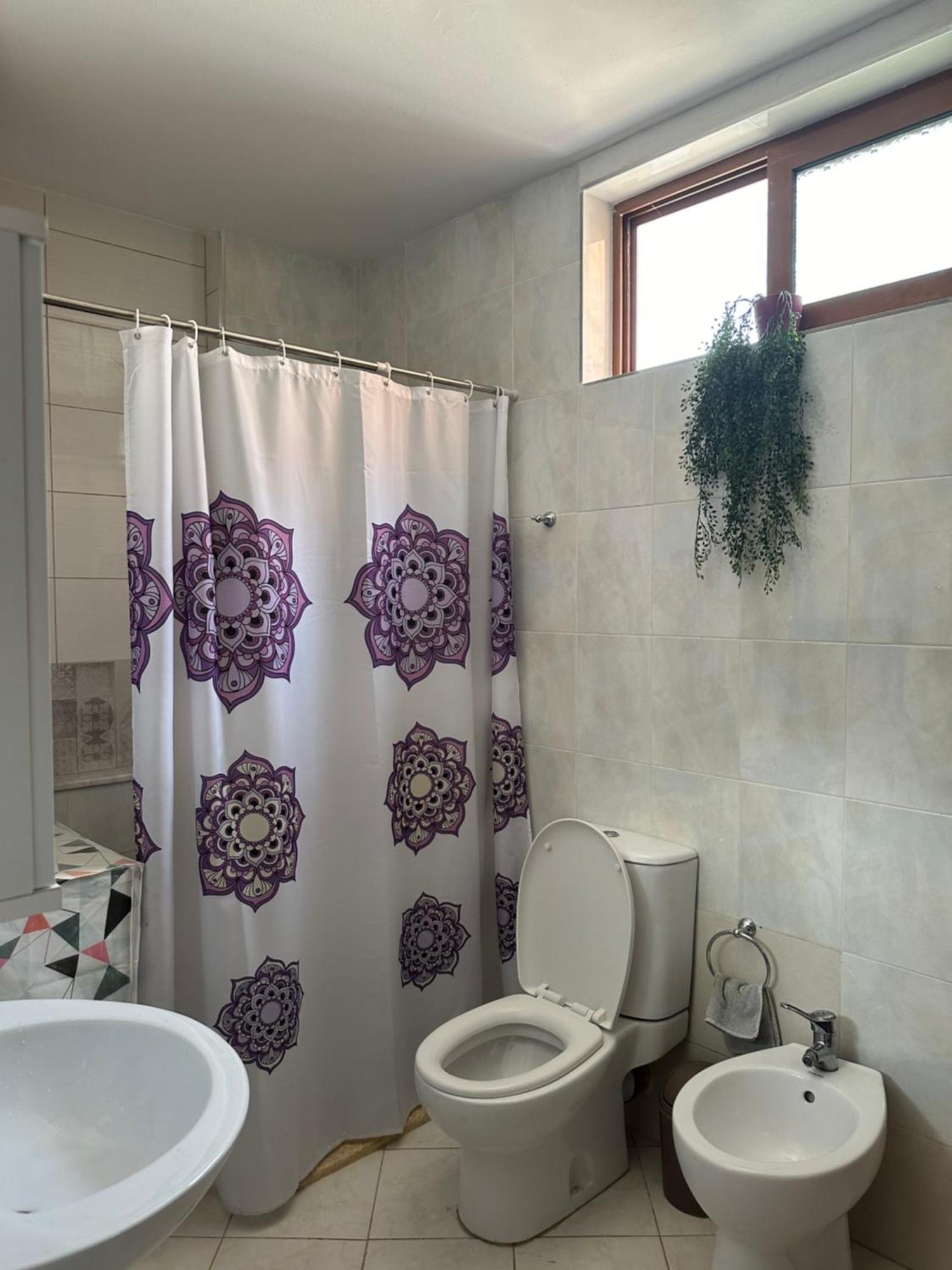 Apartment Vrapi *